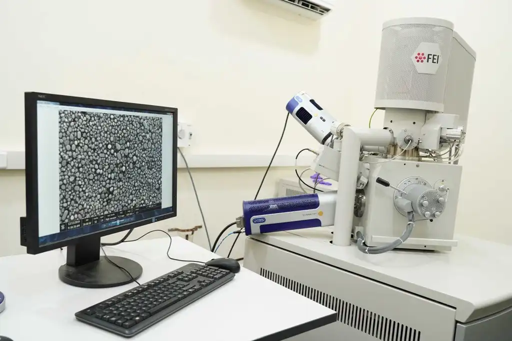 FE-SEM and EBSD