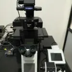 CONFOCAL MICROSCOPY