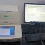 Real Time PCR (qPCR)